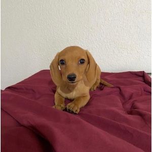 Meet your Posher, Edgar